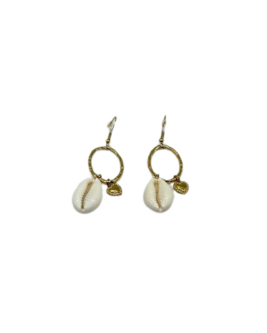 Lovely cauri earrings gold